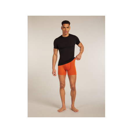 Boxer Icebreaker Men Merino 150 Anatomica Boxers 2025 