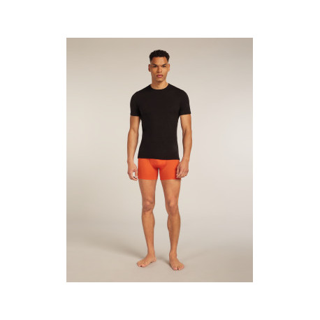 Boxershorts Icebreaker Men Merino 150 Anatomica Boxers 2025 