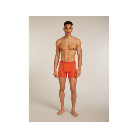 Boxershorts Icebreaker Men Merino 150 Anatomica Boxers 2025 