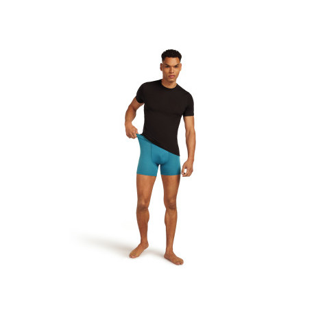 Boxershorts Icebreaker Men Merino 150 Anatomica Boxers 2025 