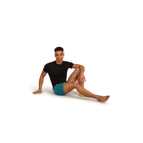 Boxershorts Icebreaker Men Merino 150 Anatomica Boxers 2025 