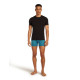 Boxer Icebreaker Men Merino 150 Anatomica Boxers 2025 