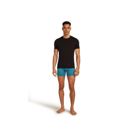 Boxer Icebreaker Men Merino 150 Anatomica Boxers 2025 