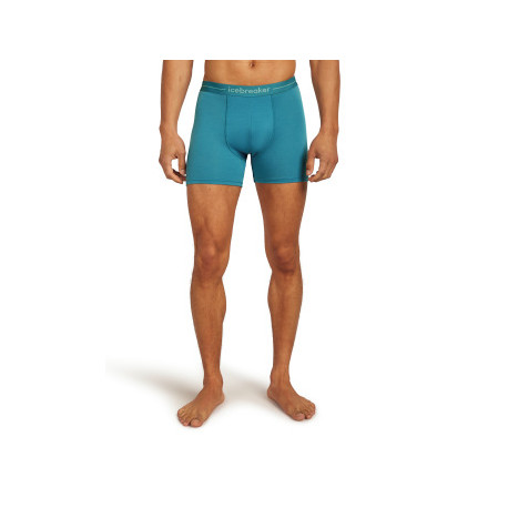 Boxershorts Icebreaker Men Merino 150 Anatomica Boxers 2025 