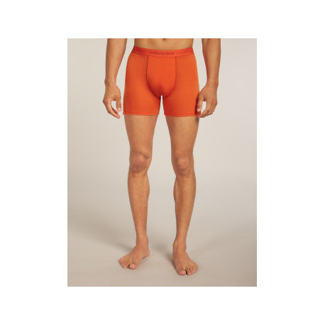 Boxer Icebreaker Men Merino 150 Anatomica Boxers 2025 