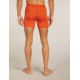 Boxer Icebreaker Men Merino 150 Anatomica Boxers 2025 