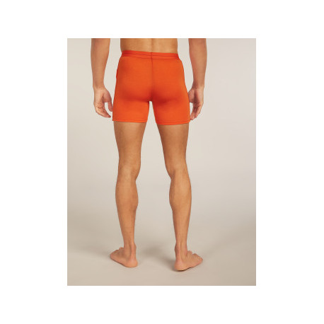 Boxer Icebreaker Men Merino 150 Anatomica Boxers 2025 