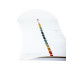Snowboard Arbor Poparazzi Camber 2022 