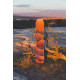 Snowboard Arbor Swoon Rocker 2022 