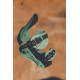 Snowboard Bindings Arbor Sequoia Mint Frost 2022 