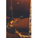 Splitboard Arbor Swoon Rocker 2022 
