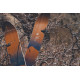 Splitboard Arbor Swoon Rocker 2022 
