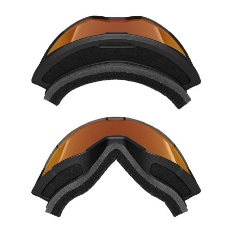 Ski goggles Dakine Venue Snow  2026 