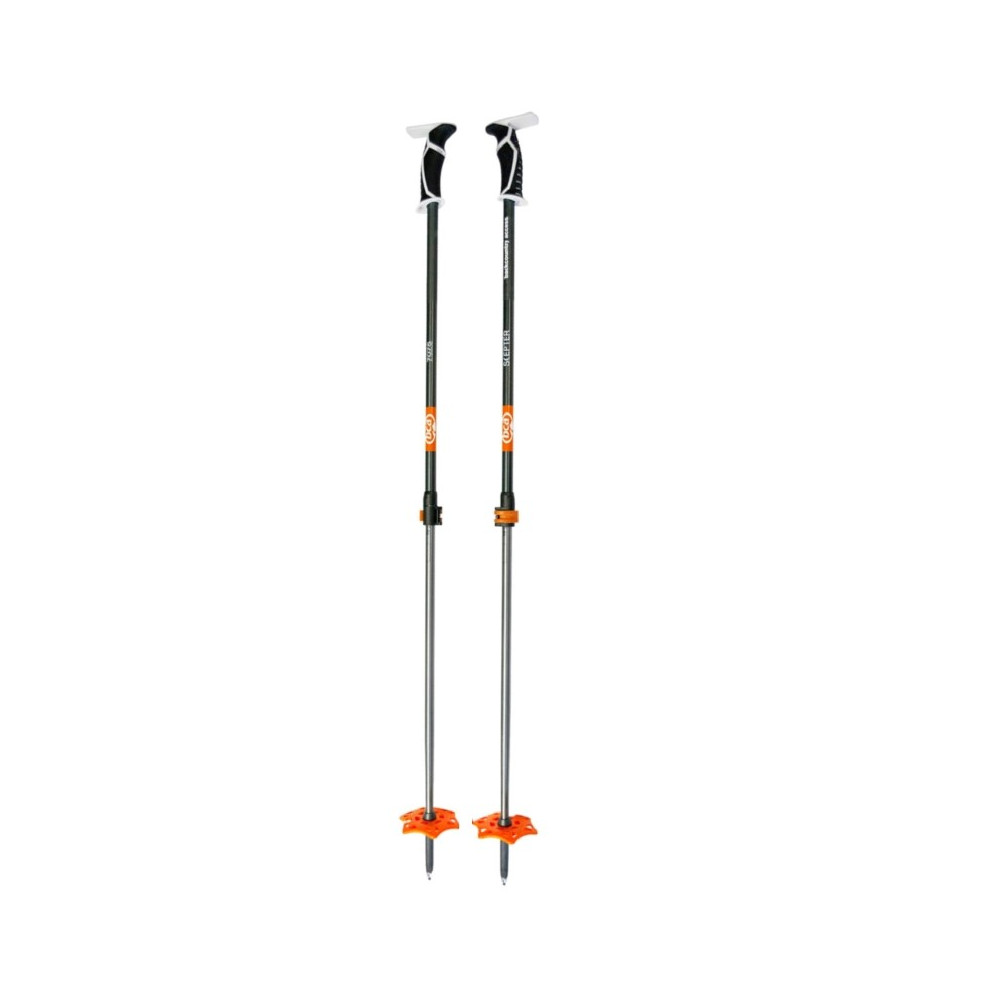 bca ski pole