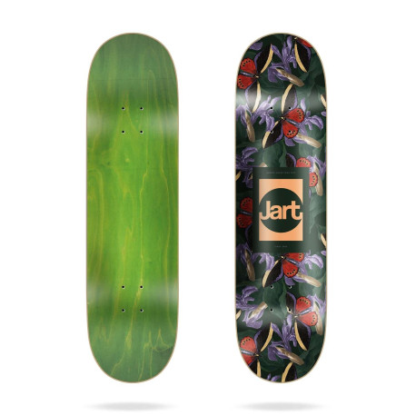 Skateboard Deck Only Jart Belle Époque 8.5\\" 2023 - Planche skate