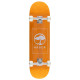 Skateboard Completes Arbor Logo 8.25\\" 2024  - Skateboards Complètes