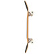 Skateboard Completes Arbor Logo 8.25\\" 2024  - Skateboards Complètes