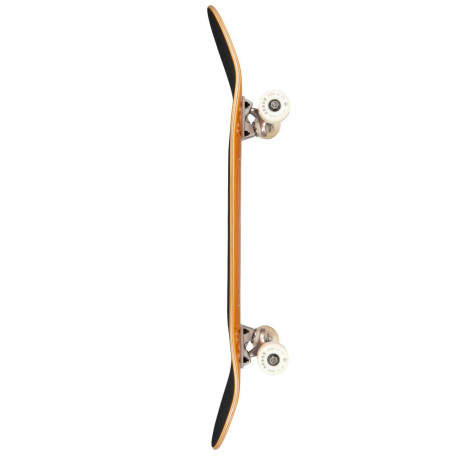 Skateboard Completes Arbor Logo 8.25\\" 2024  - Skateboards Complètes