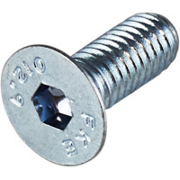 Apex Brake Bolt 2019 - Pegs