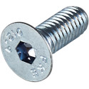 Apex Brake Bolt 2019