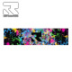 Root Industries Grip Tape 2020 - Grip