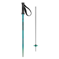 Bâtons de Ski Head Adult Rental Sublimated 2023