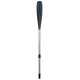 Bic Oar Sportyak 245 2020 - Palettes