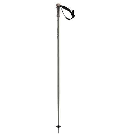 Bâtons de Ski Head Multi Brushed Aluminium Black 2022 - Bâtons de ski