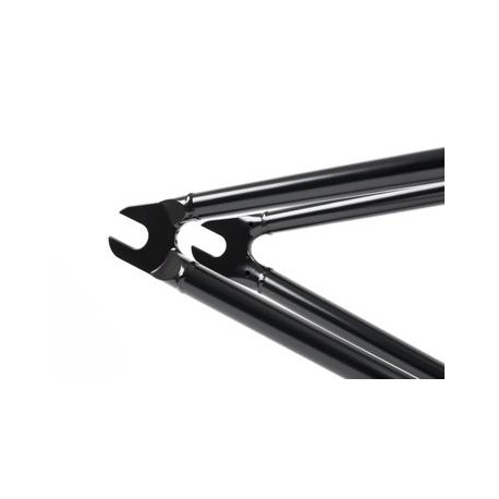 Cult Begin Heavens Gate Ic Black Cadre 2020 - BMX