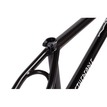WeThePeople Doomsayer Black Rahmen 2020 - BMX