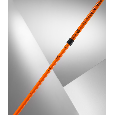 Bâtons de Ski Black Crows Duos Junius 2025  - Bâtons de ski