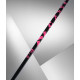 Bâtons de Ski Black Crows Oxus 2025  - Bâtons de ski