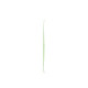 SKi Black Crows Magnis Birdie 2020  - Ski sans fixations Junior