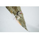 SKi Black Crows Vastus Freebird 2021  - Ski sans fixations Homme