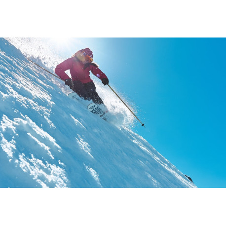 Bâtons de Ski Black Crows Meta Pink 2020 - Bâtons de ski