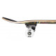 Skateboard Completes Tony Hawk Arcade 7.5\\" SS 180 2023 - Skateboards Completes