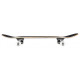 Skateboard Completes Tony Hawk Arcade 7.5\\" SS 180 2023 - Skateboards Completes