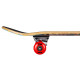 Skateboard Complètes Tony Hawk Golden Hawk 7.75\\" SS 180 2023 - Skateboards Complètes