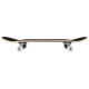 Skateboard Complètes Tony Hawk Hawk Roar 7.75\\" SS 180 2023 - Skateboards Complètes