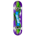 Skateboard Completes Tony Hawk Wingspan 7.75" SS 180 2023