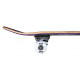 Skateboard Completes Tony Hawk Wingspan 7.75\\" SS 180 2023 - Skateboards Completes