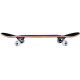 Skateboard Completes Tony Hawk Wingspan 7.75\\" SS 180 2023 - Skateboards Completes