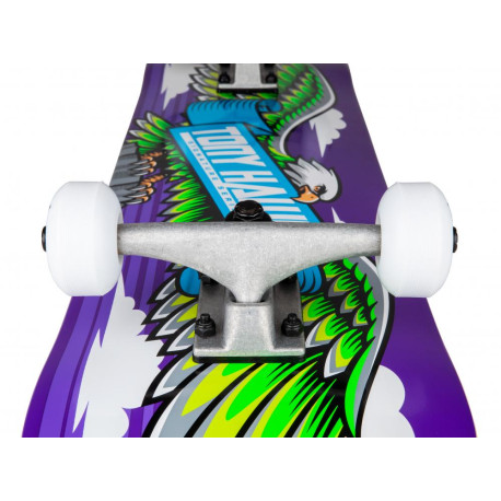 Skateboard Completes Tony Hawk Wingspan 7.75\\" SS 180 2023 - Skateboards Completes