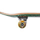 Skateboard Complètes Rocket Skateboard Wild Pile-up 7.5\\" 2023 - Skateboards Complètes