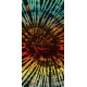 SCARF / NECKWARMERS Jones Nkw Mind Twin 2022  -