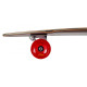 Longboard Completes D Street Pintail Malibu 40\\" 2023 - Longboard Complete