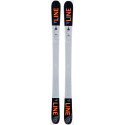 SKi Line Tom Wallisch Shorty 2020 