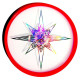 Jeux d'Attrape Aerobie Sky Lighter 2023
