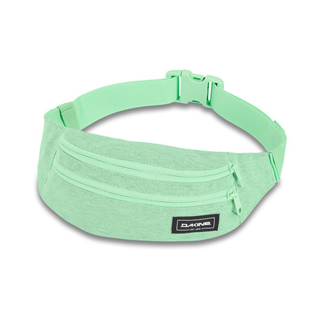 Dakine Classic Hip Pack 2023