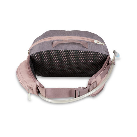 HIP PACK Dakine Hot Laps 5L 2025  -